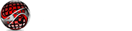 CI Web Group Digital Marketing Agency